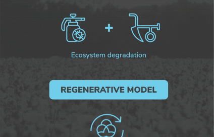 Intensive cultivation vs regenerative model